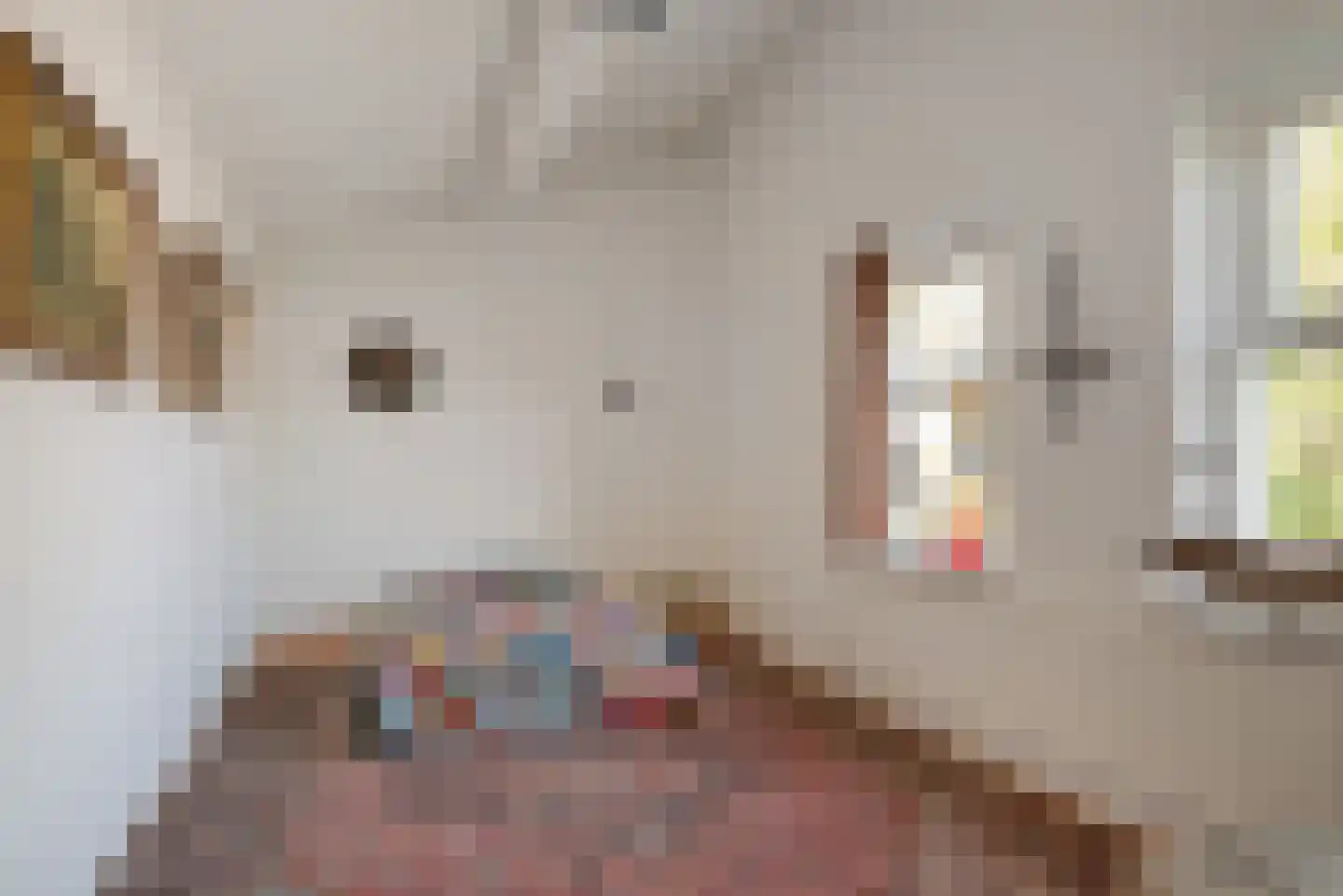 Binnenhof 11 Etten-Leur thumbnail 32