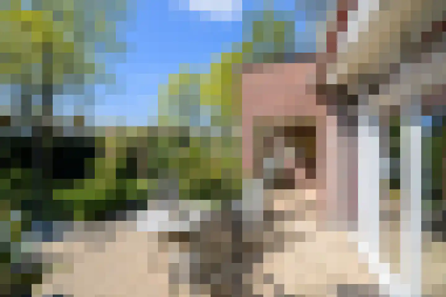 Binnenhof 11 Etten-Leur thumbnail 35
