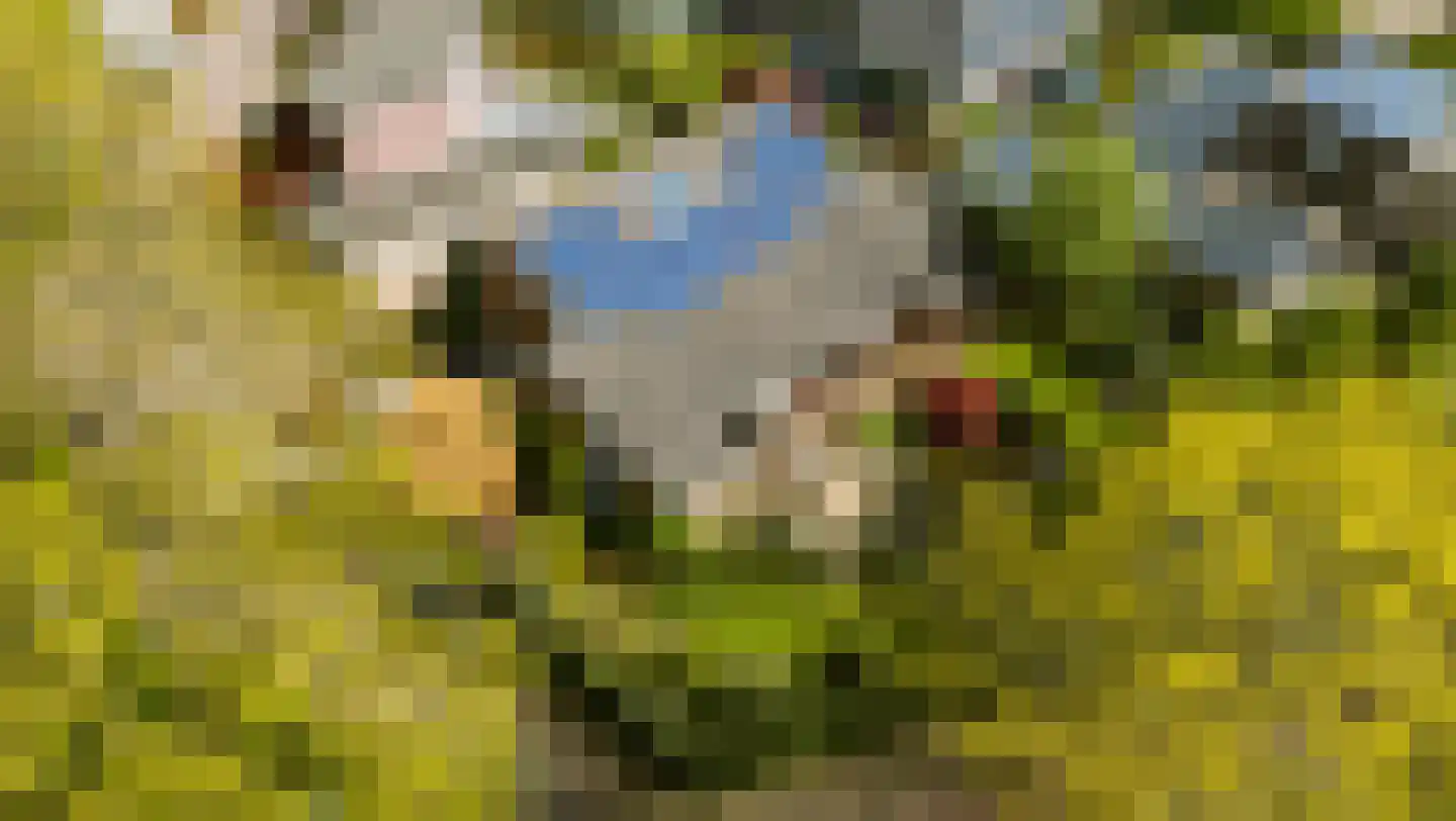 Binnenhof 11 Etten-Leur thumbnail 4