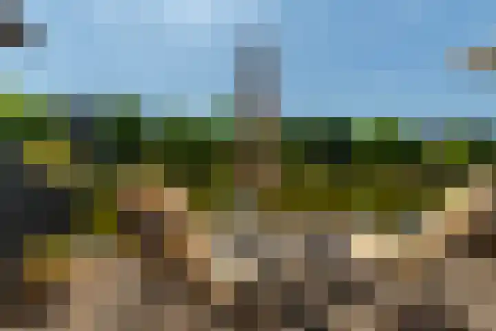 Binnenhof 11 Rhoon thumbnail 34