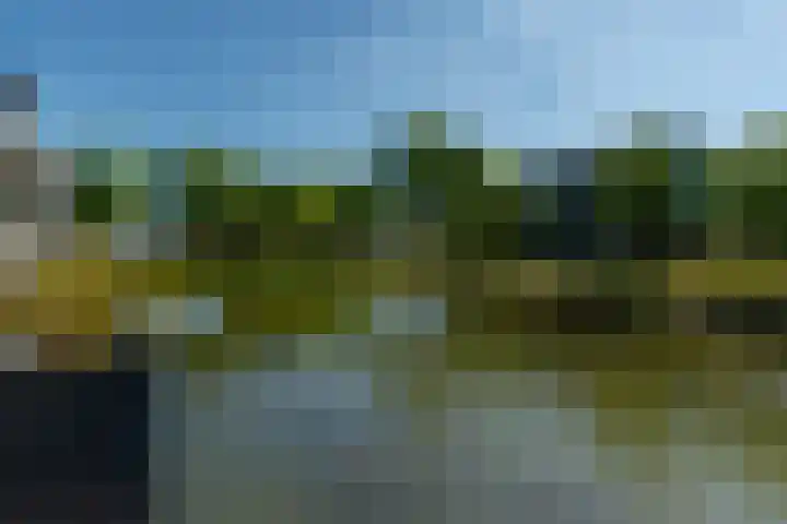 Binnenhof 11 Rhoon thumbnail 36