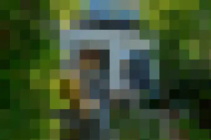 Binnenhof 11 Rhoon thumbnail 5