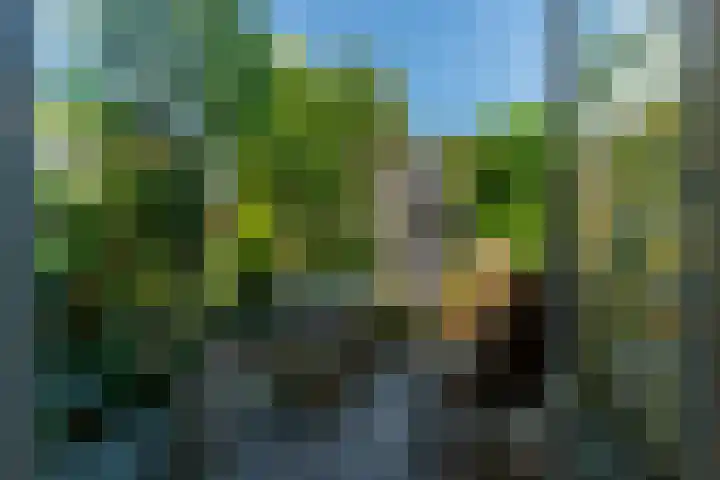 Binnenhof 11 Rhoon thumbnail 7