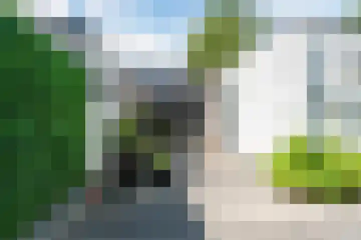 Binnenhof 13 Rhoon thumbnail 6