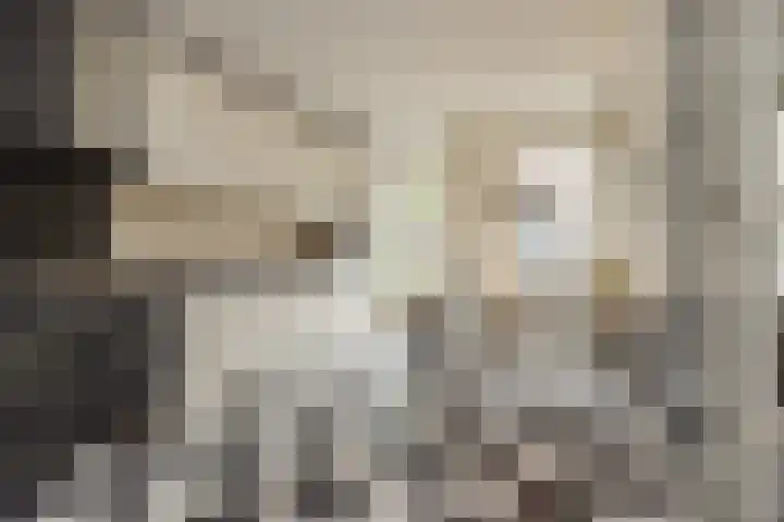 Binnenhof 16 Noordwijk thumbnail 7