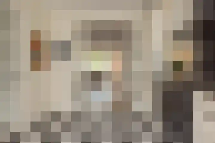 Binnenhof 16 Noordwijk thumbnail 8