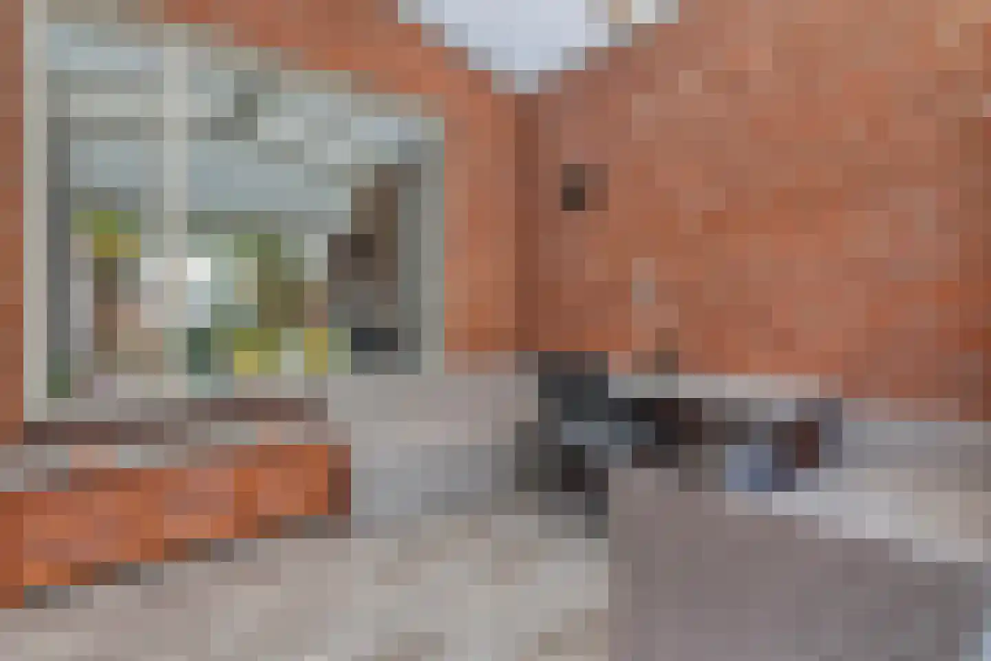 Binnenhof 19 Oostrum thumbnail 34