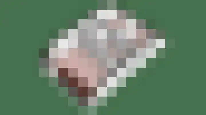 Binnenhof 2 Ens thumbnail 50