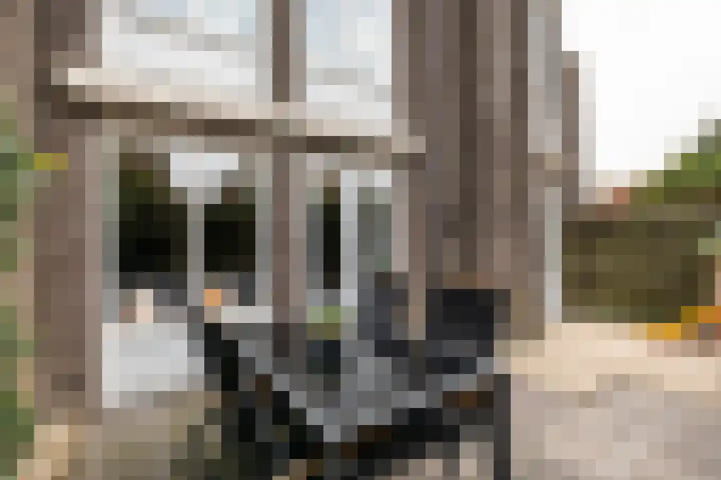 Binnenhof 2 Halfweg thumbnail 16