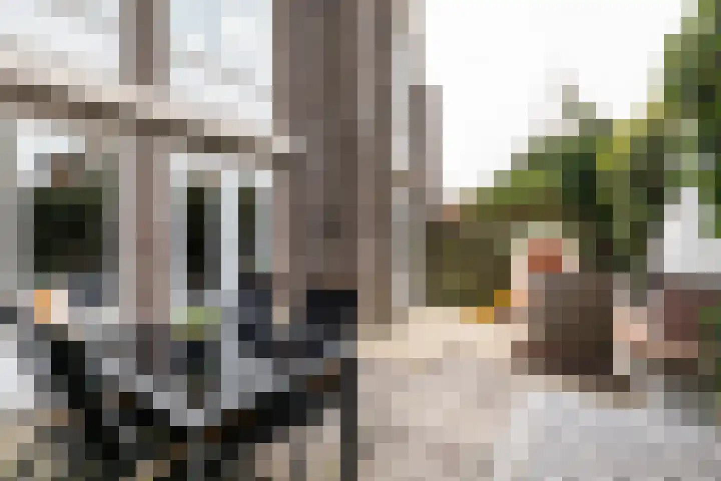 Binnenhof 2 Halfweg thumbnail 17