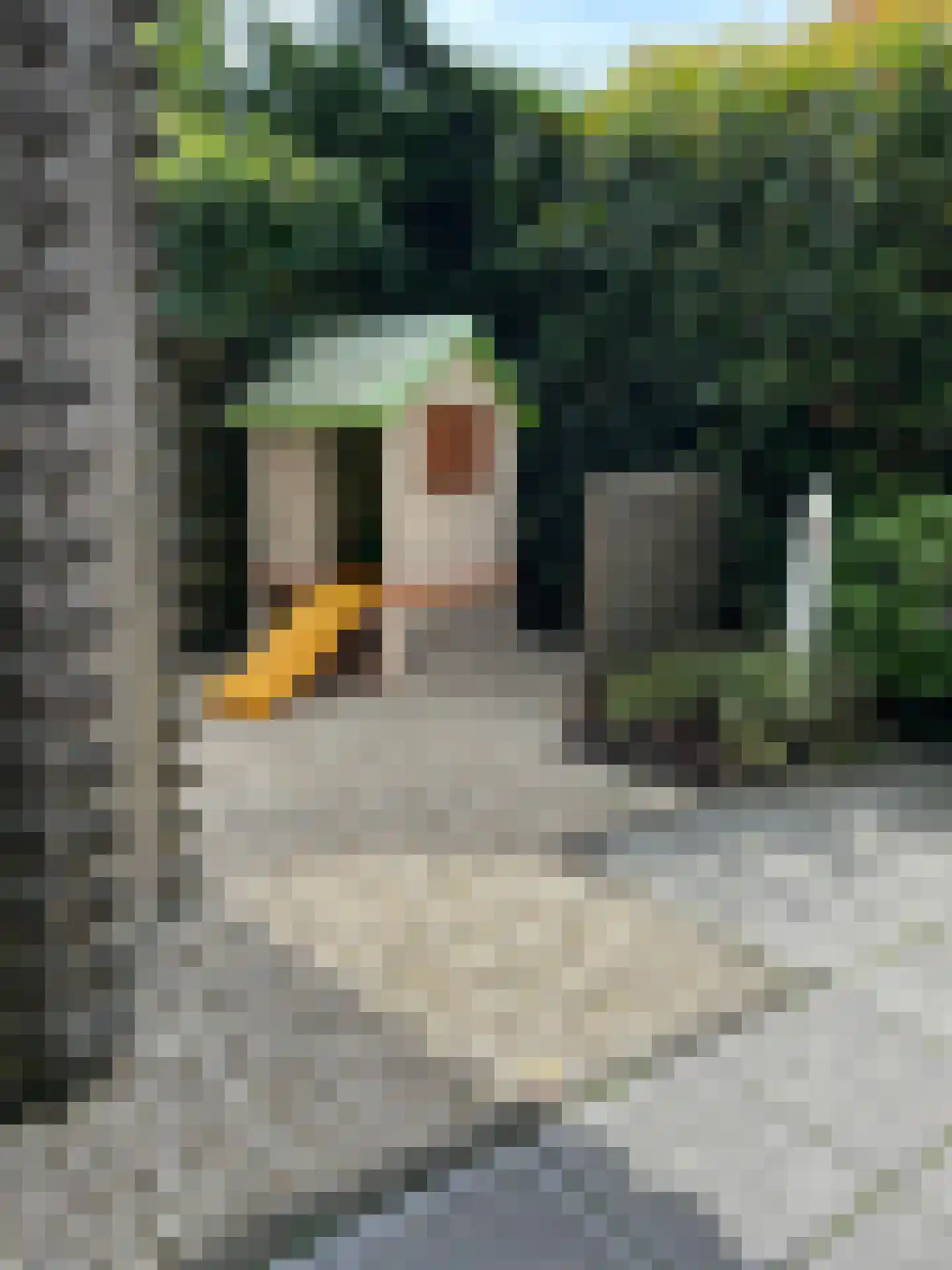 Binnenhof 2 Halfweg thumbnail 21