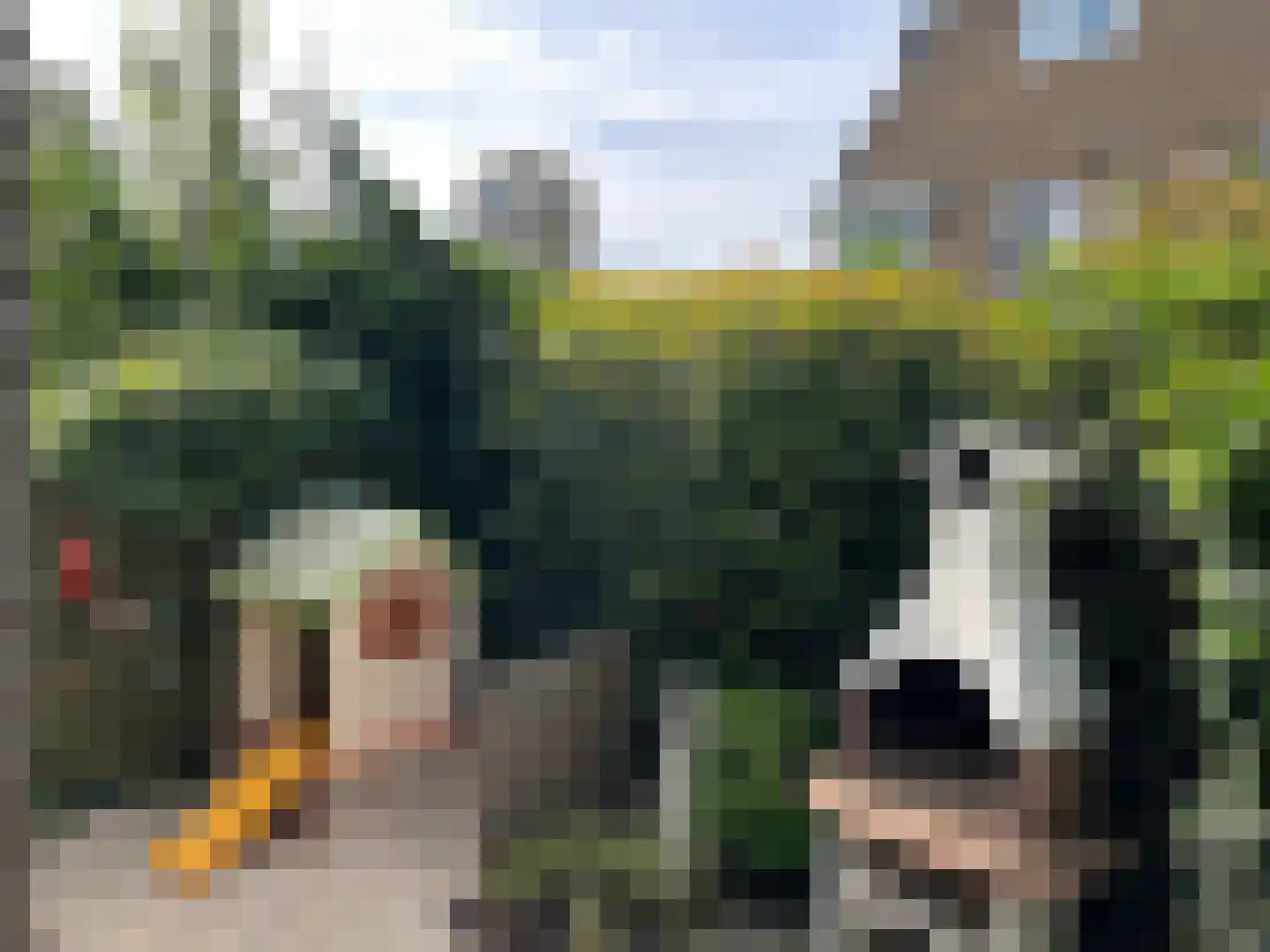 Binnenhof 2 Halfweg thumbnail 23