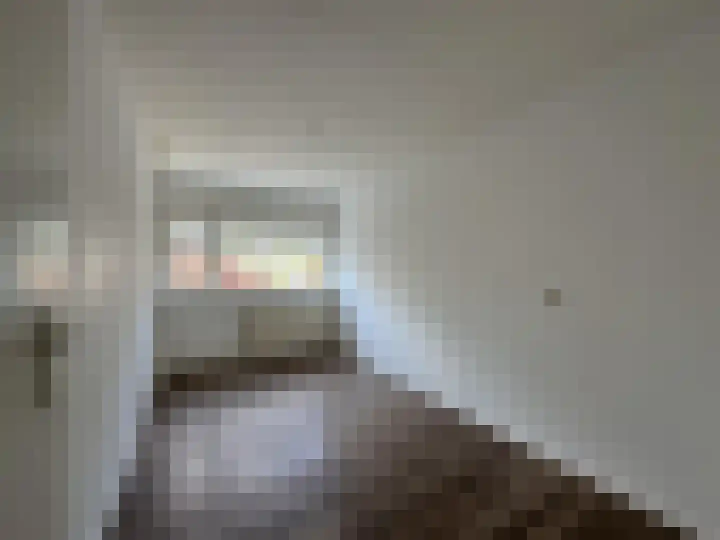 Binnenhof 28 Deest thumbnail 32