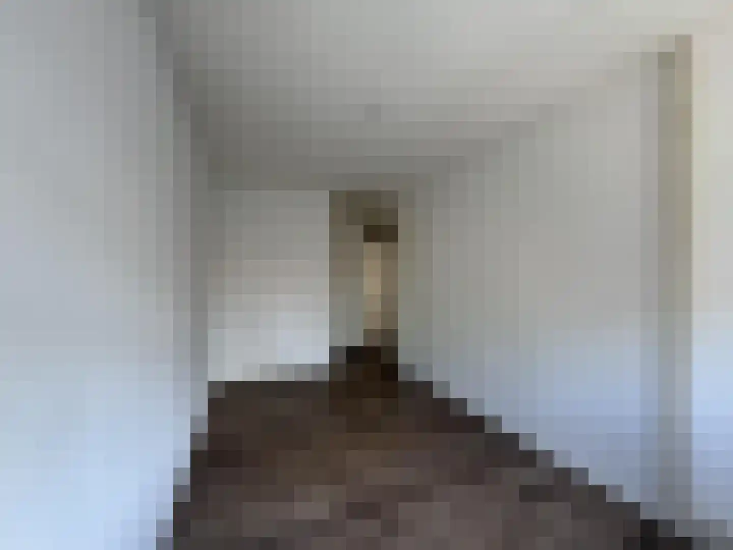 Binnenhof 28 Deest thumbnail 33