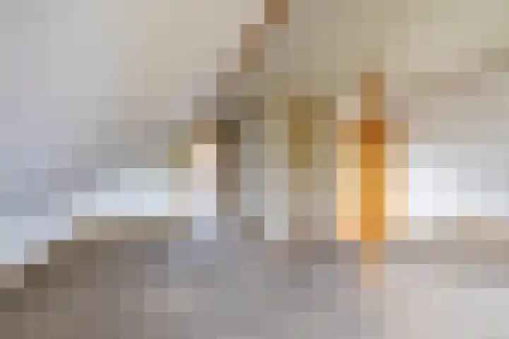 Binnenhof 3 Appingedam thumbnail 31