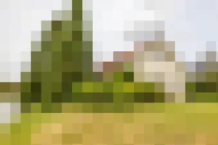 Binnenhof 3 Appingedam thumbnail 42