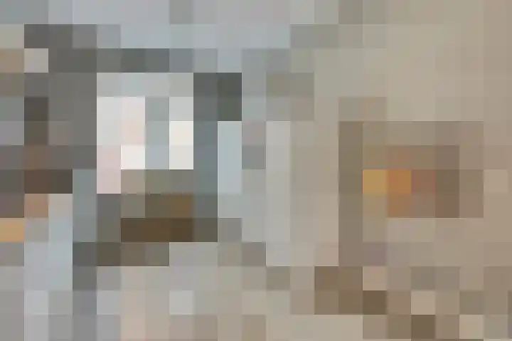 Binnenhof 3 Drunen thumbnail 11