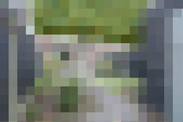 Binnenhof 3 Drunen thumbnail 35