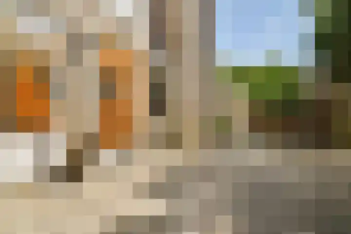 Binnenhof 3 Halfweg thumbnail 9