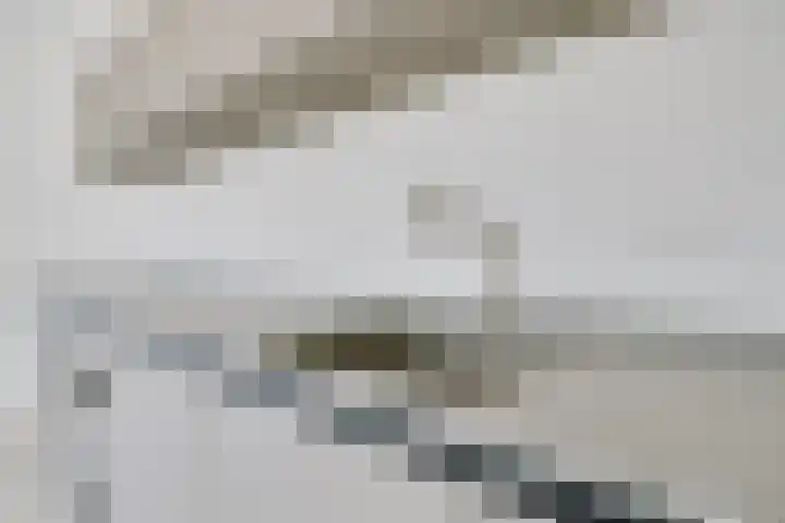 Binnenhof 3 Wilp thumbnail 11