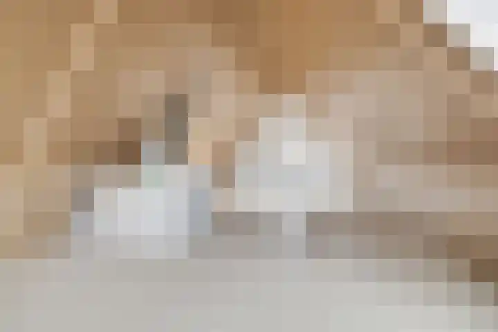 Binnenhof 3 Wilp thumbnail 29