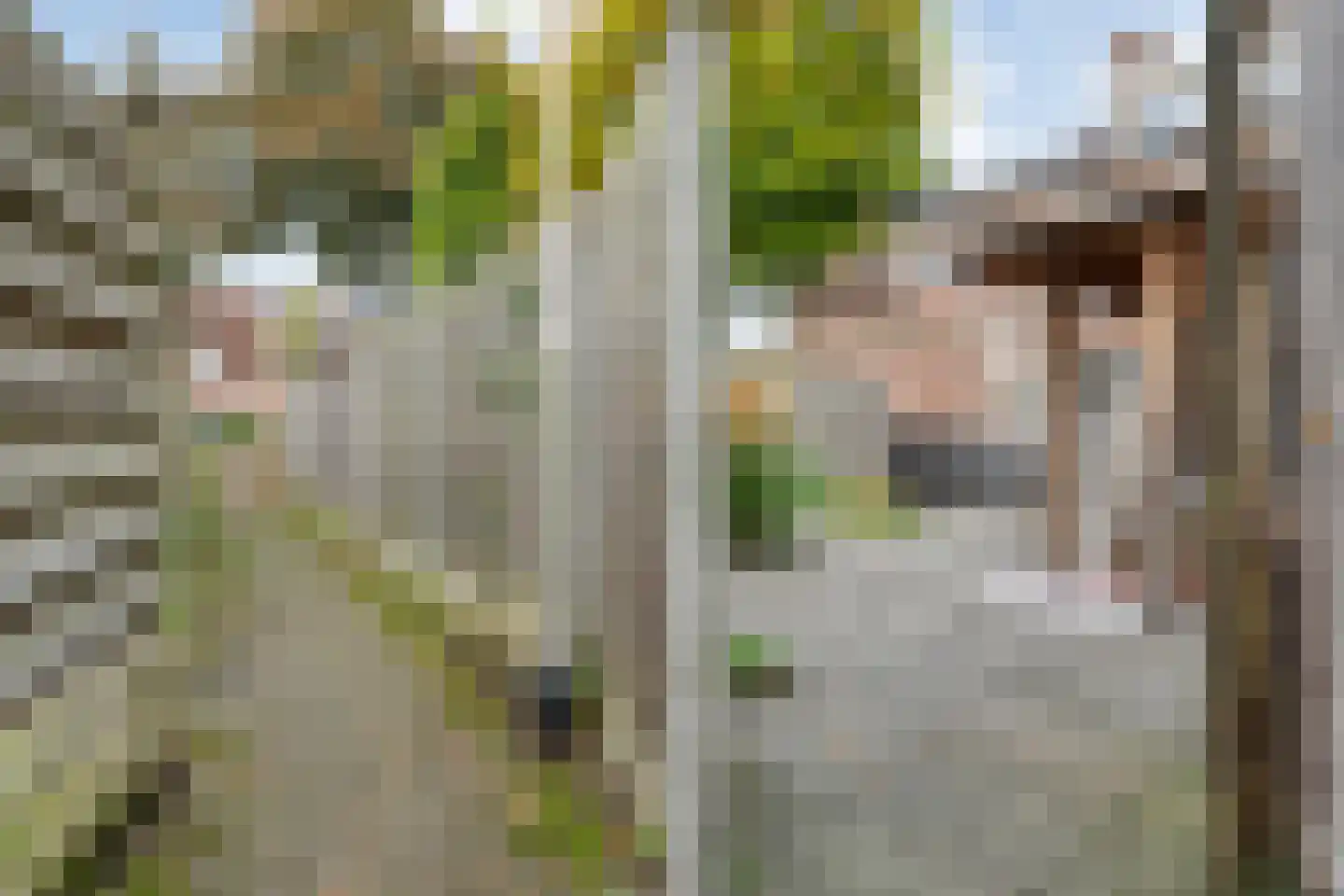Binnenhof 31 Hardenberg thumbnail 62