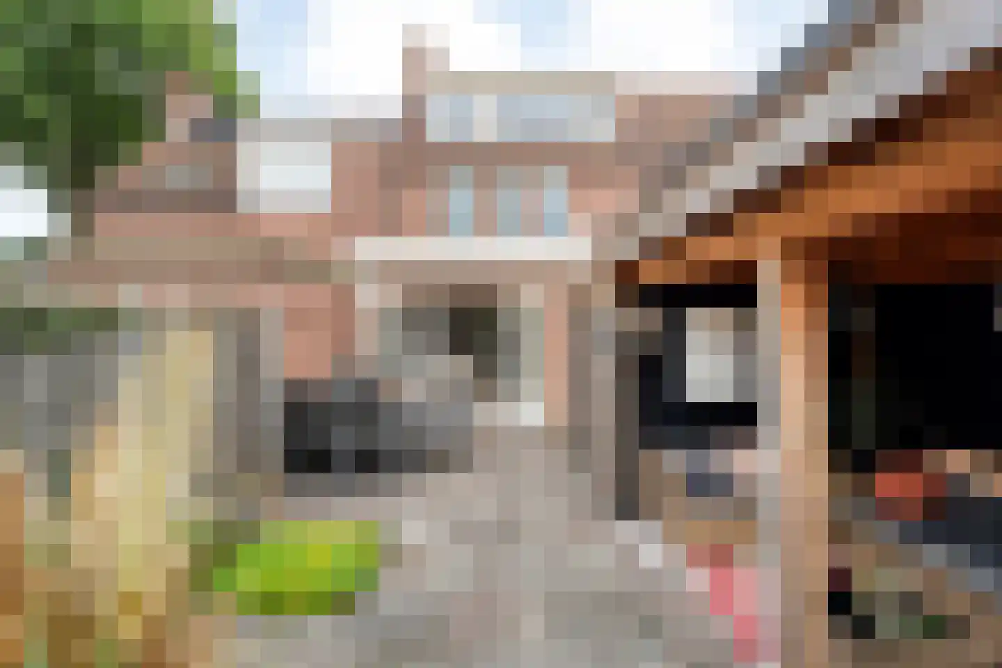 Binnenhof 31 Hardenberg thumbnail 8