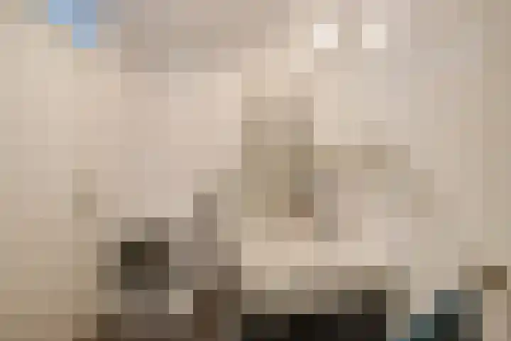 Binnenhof 32 Etten-Leur thumbnail 25