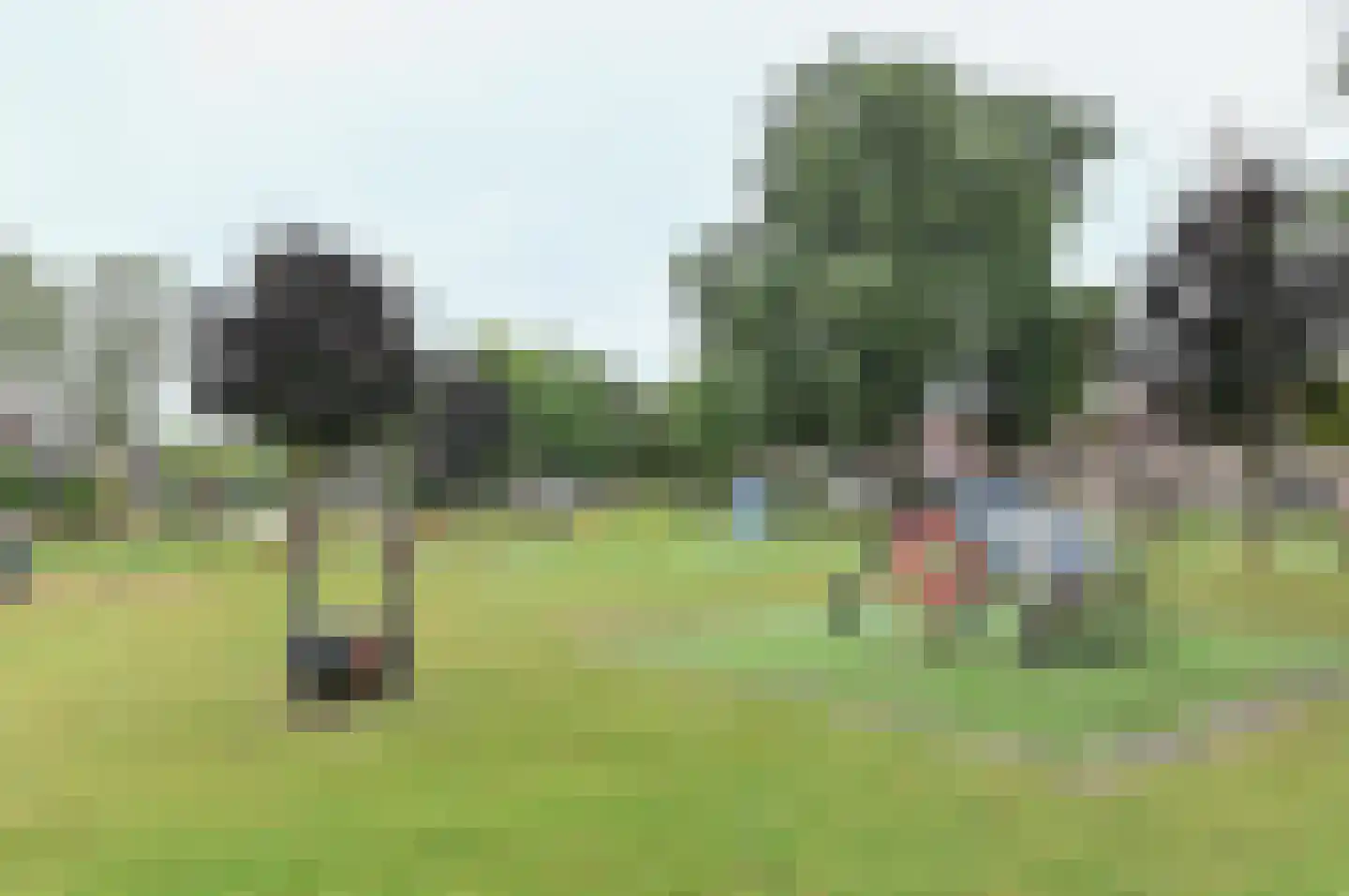 Binnenhof 32 Grootebroek thumbnail 51
