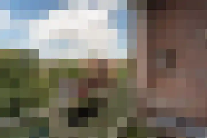 Binnenhof 333 Naarden thumbnail 17
