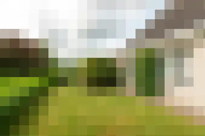 Binnenhof 38 Franeker thumbnail 47