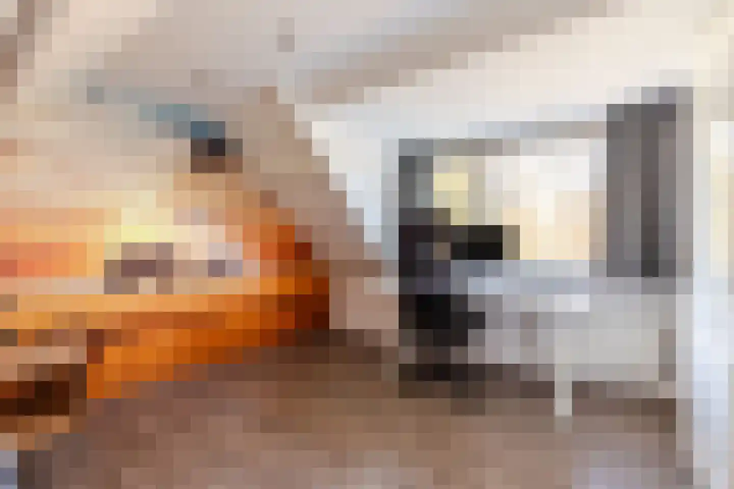 Binnenhof 4 Ede thumbnail 34