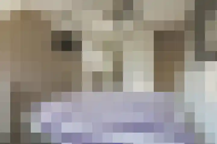Binnenhof 4 Grootebroek thumbnail 34
