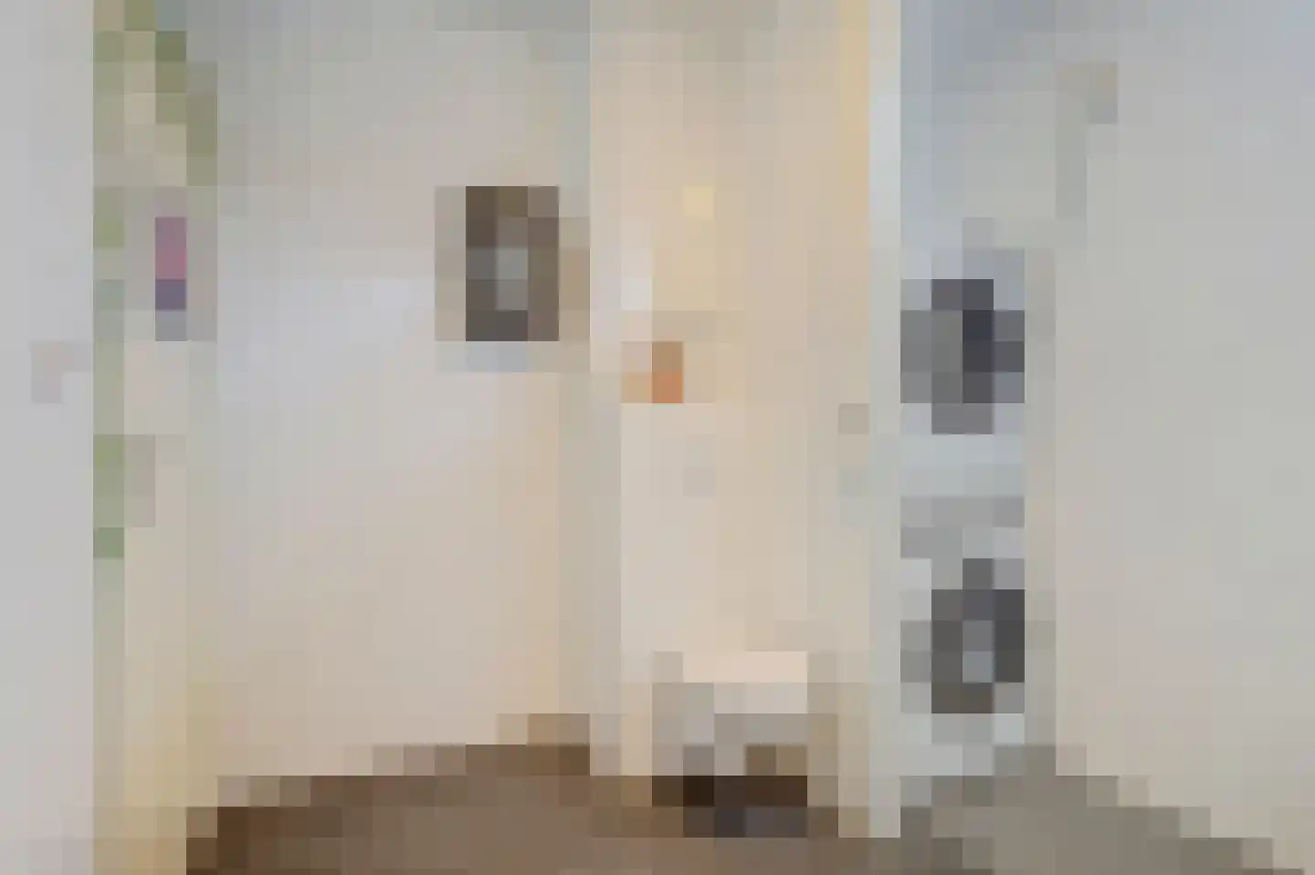 Binnenhof 44 Naarden thumbnail 13