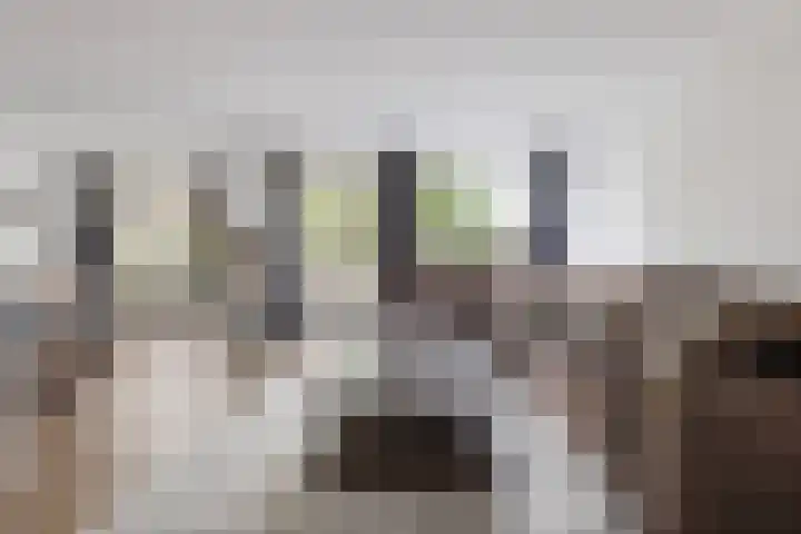 Binnenhof 5 Halfweg thumbnail 5