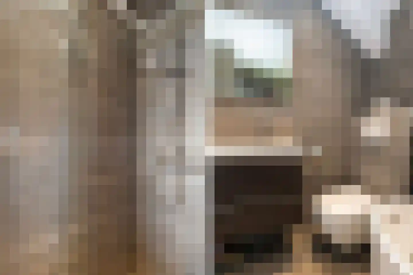 Binnenhof 9 Swifterbant thumbnail 27