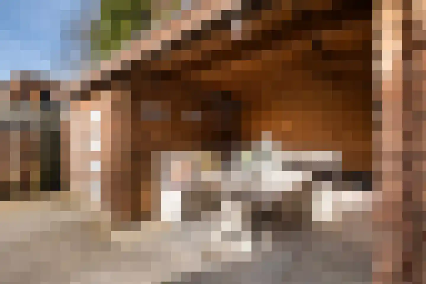 Binnenhof 9 Swifterbant thumbnail 32