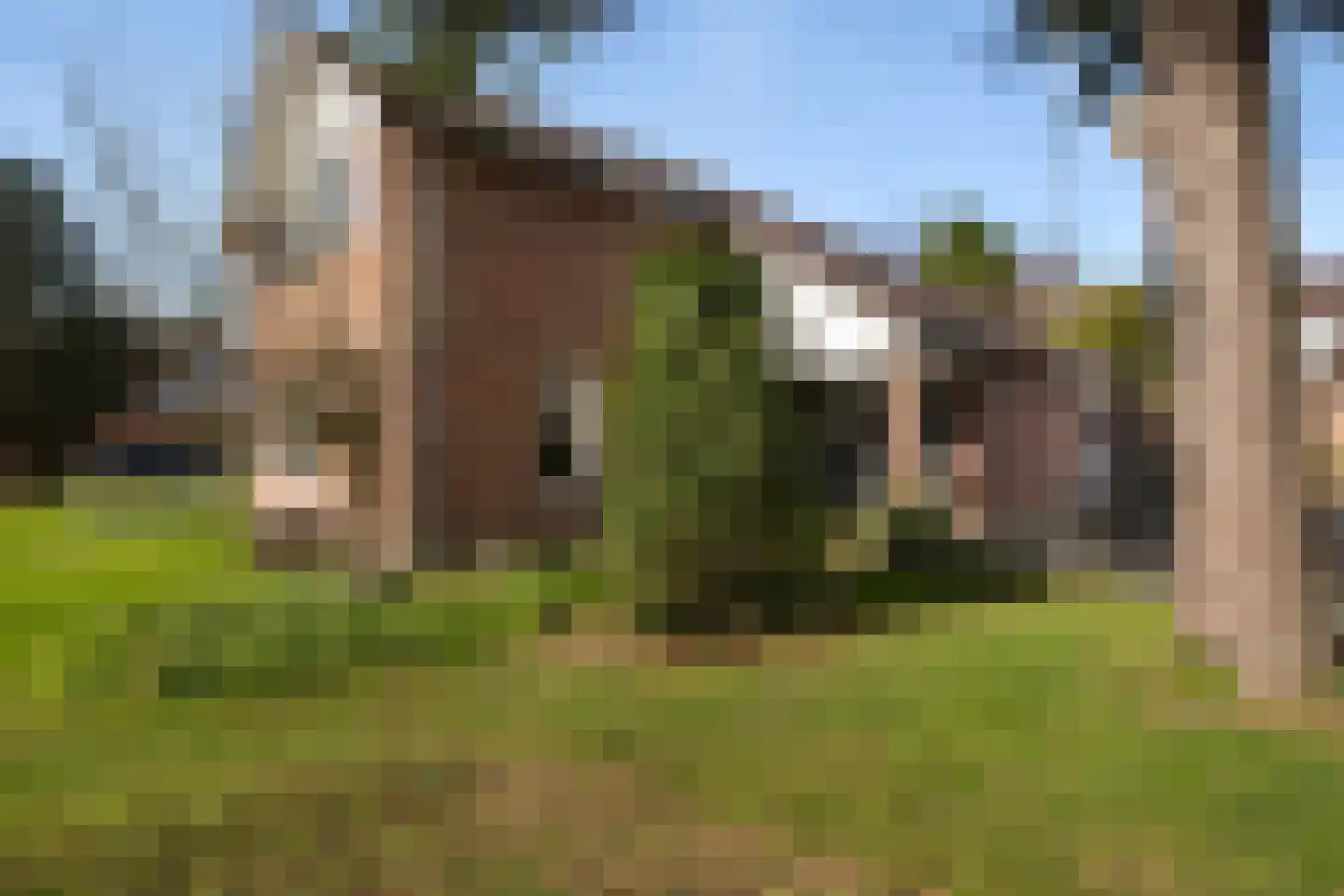 Binnenhof 9 Swifterbant thumbnail 39