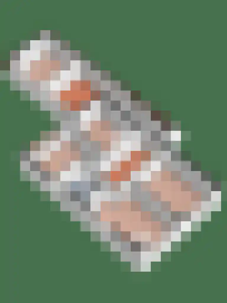 Binnenhof 9 Swifterbant thumbnail 49