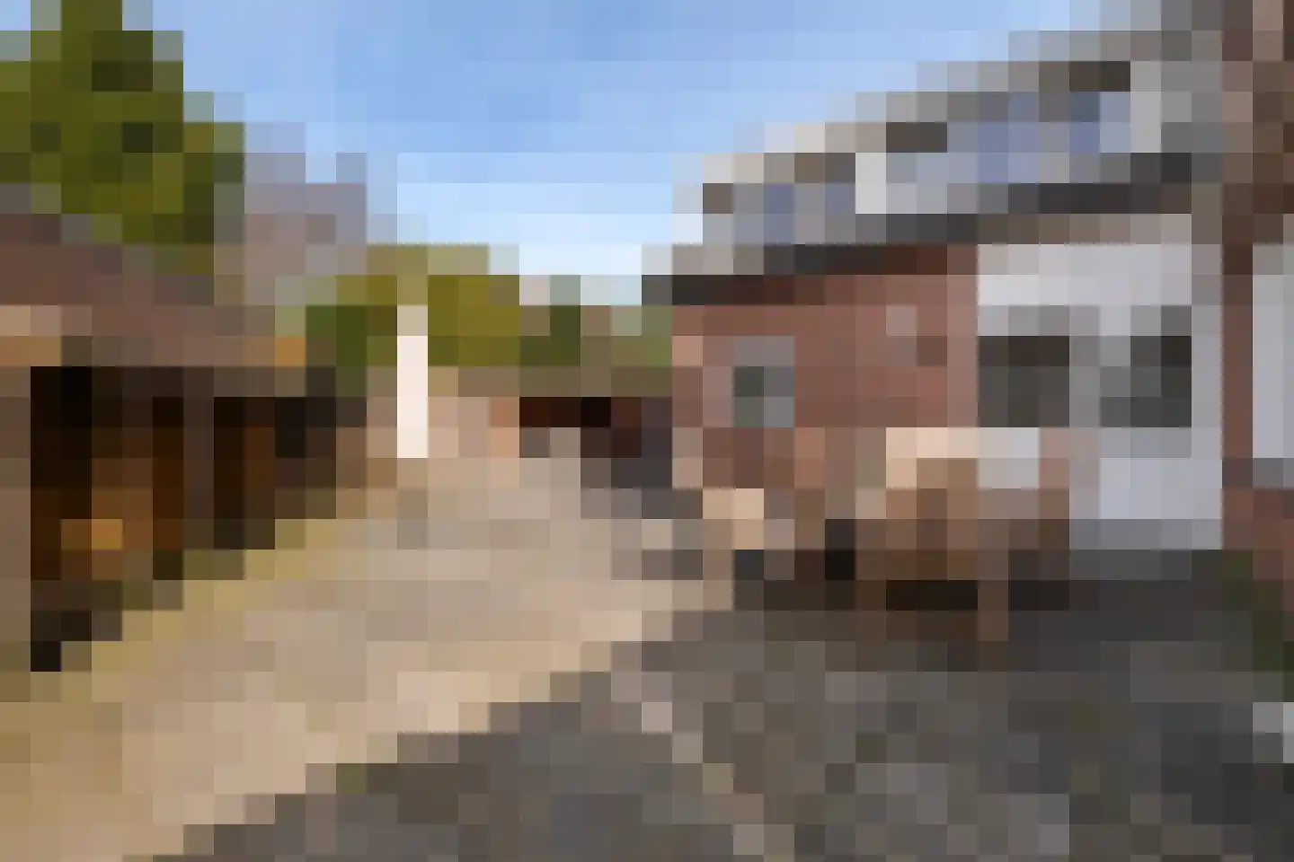 Binnenhof 9 Swifterbant thumbnail 6