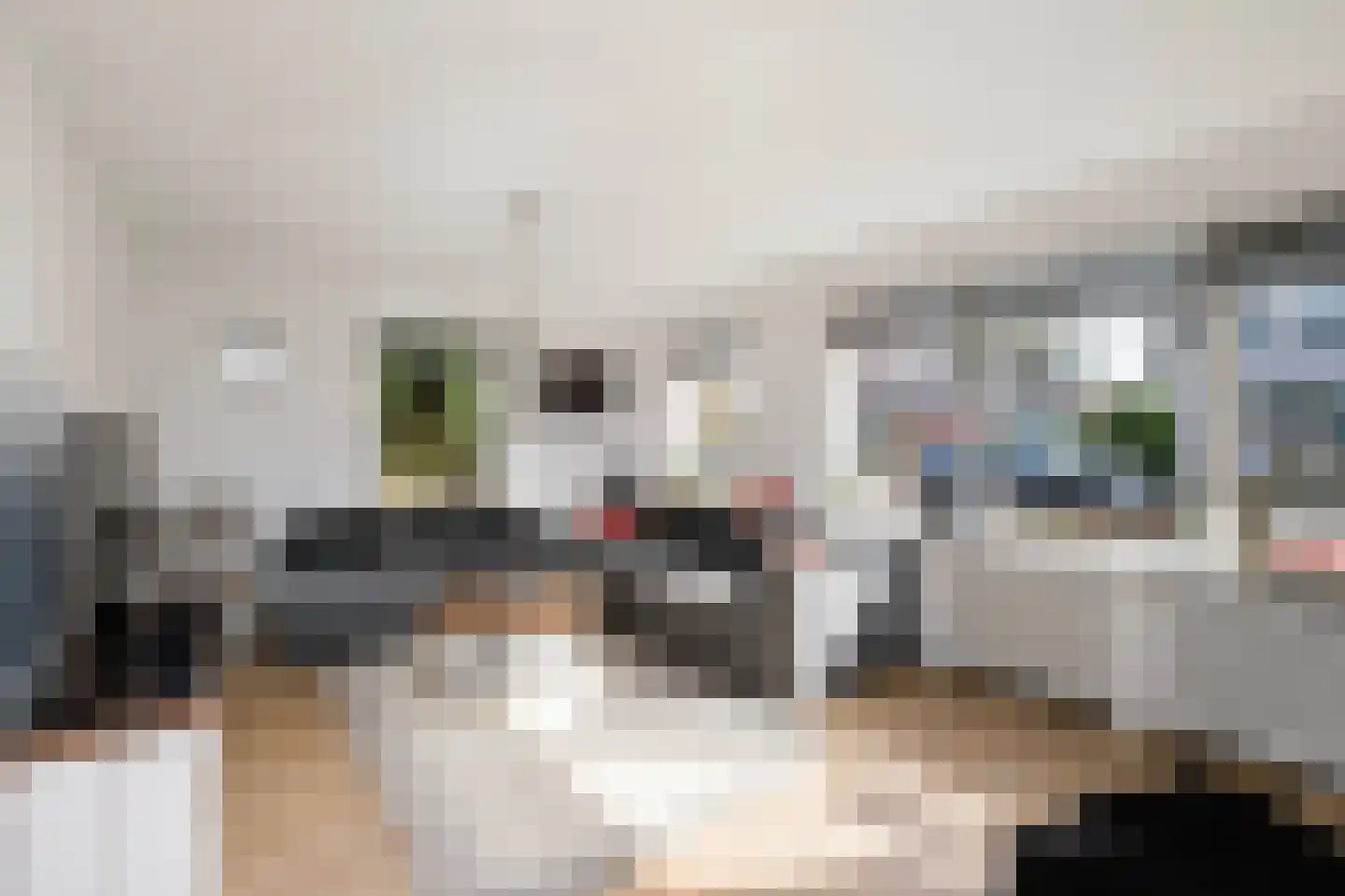 Binnenhof 9 Swifterbant thumbnail 8