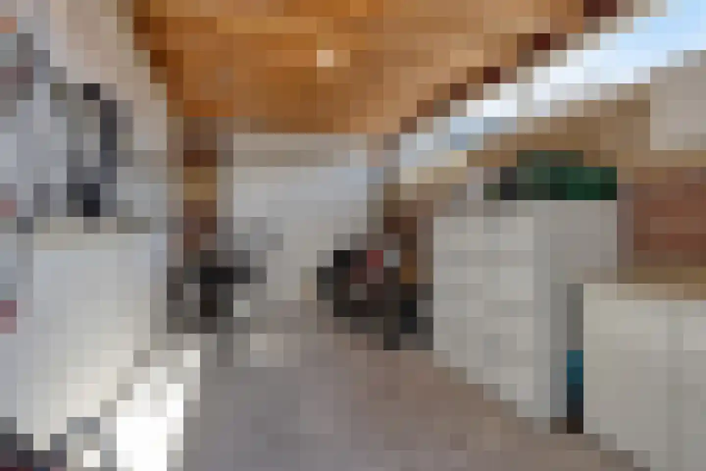 Binnenhof 9 Veldhoven thumbnail 16
