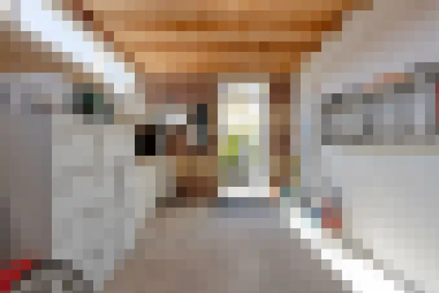 Binnenhof 9 Veldhoven thumbnail 17