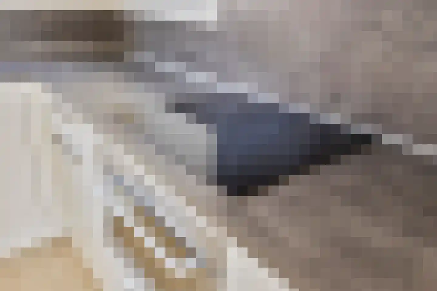Binnenhoven 7 Dongen thumbnail 15