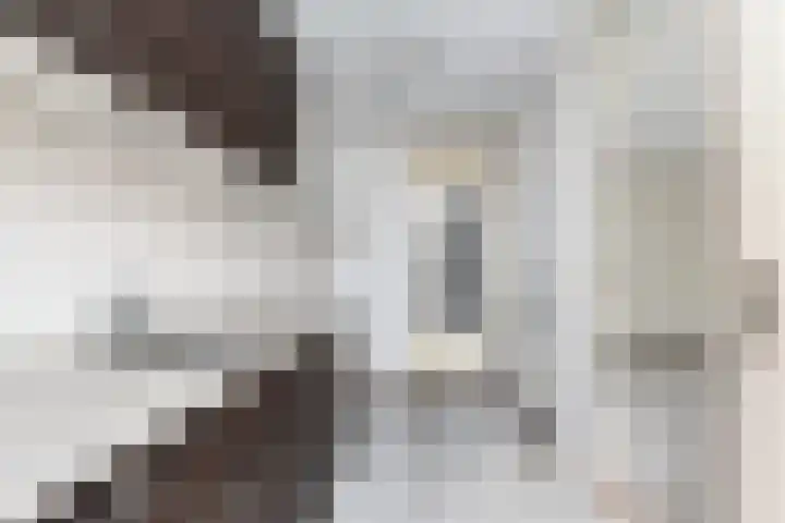 Binnenkade 15 Gouda thumbnail 10
