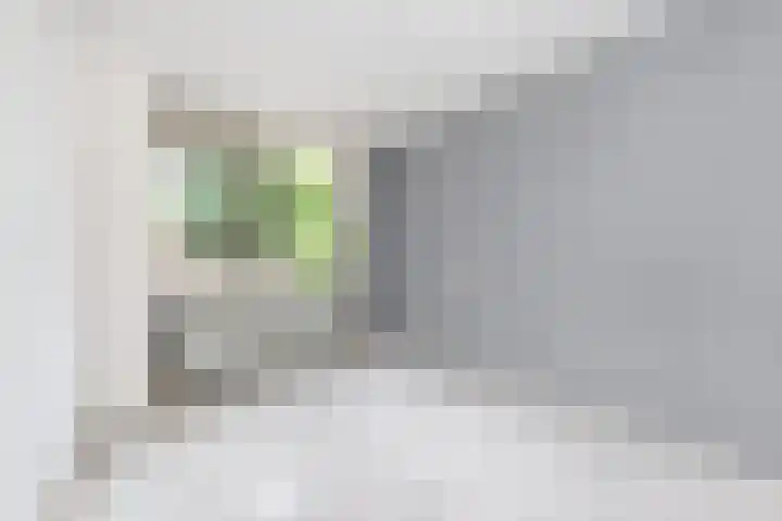 Binnenkade 15 Gouda thumbnail 11