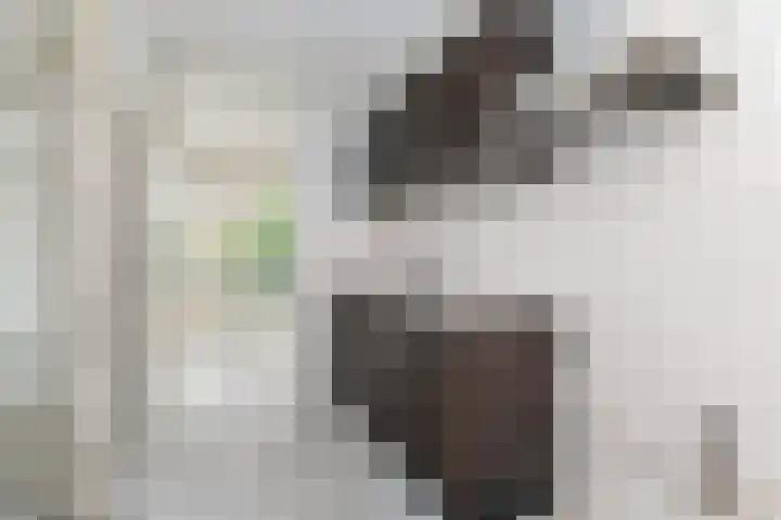 Binnenkade 15 Gouda thumbnail 8