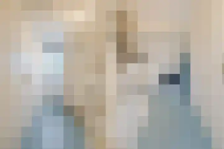 Binnenkade 16 Gouda thumbnail 23