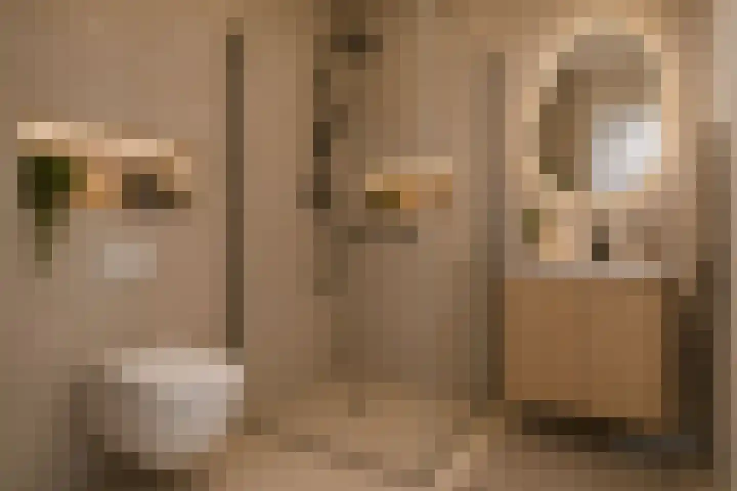 Binnenkade 28 Gouda thumbnail 19