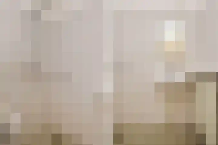 Binnenkade 31 Gouda thumbnail 17